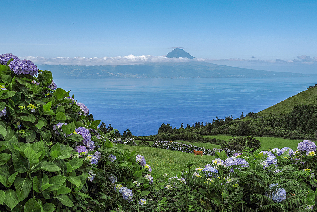 Die Azoren - São Jorge - Blick zur Insel Pico mit dem gleichnamigen Berg
