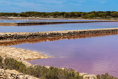 Reisen & Landschaft: Formentera